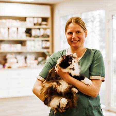 Nadège reçoit un chat à la clinique